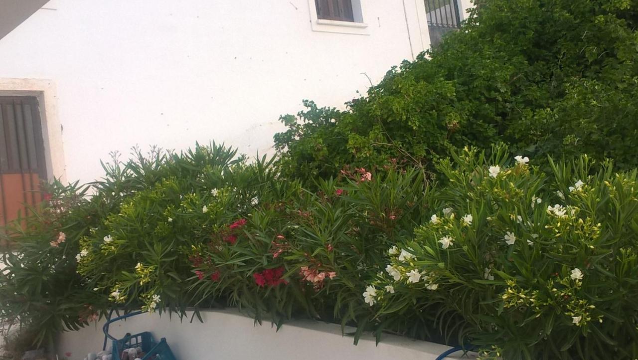 Gyrouli 1 Apartment Pera Gyalos Екстериор снимка